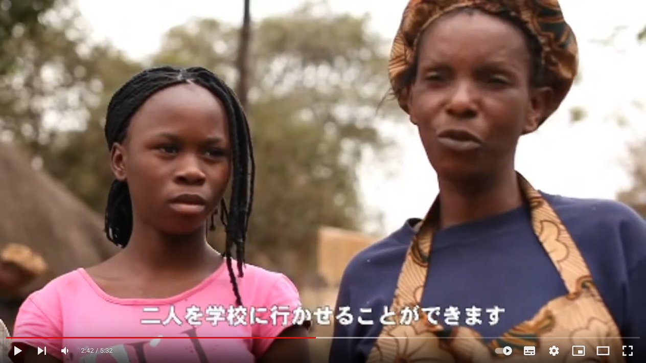 YouTube動画