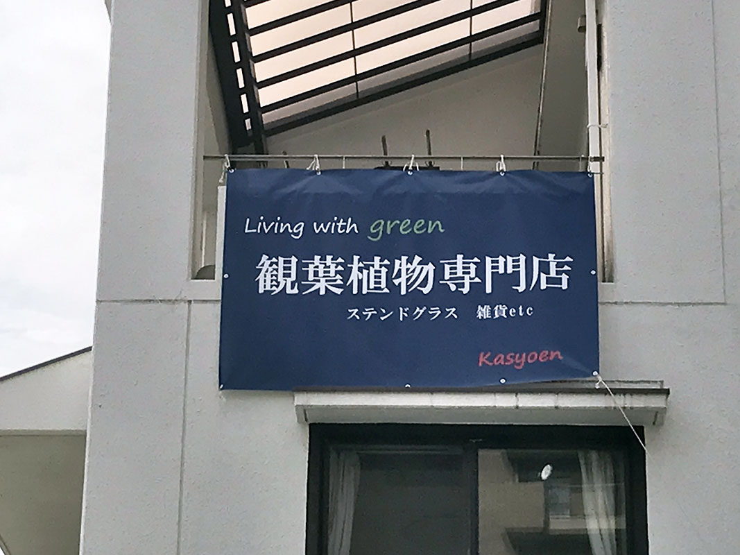 ターポリン3